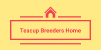 Teacup Breeder Home